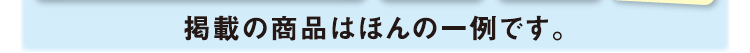 掲載の商品はほんの一例です。